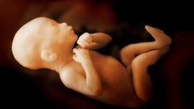 ‘Leapfrog’ appeal sought on ruling over rights of the unborn