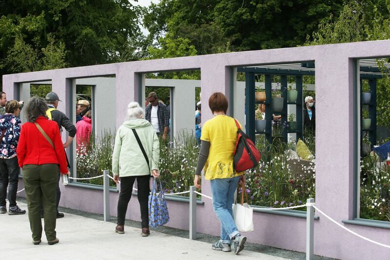 Last year's bloom. Photograph: Stephen Collins/Collins