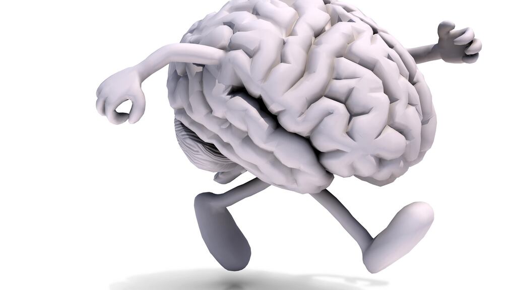 In terms of research, white matter has been treated like ‘the ugly, neglected stepsister’ of grey matter – ignored and misjudged.. Photograph: iStock