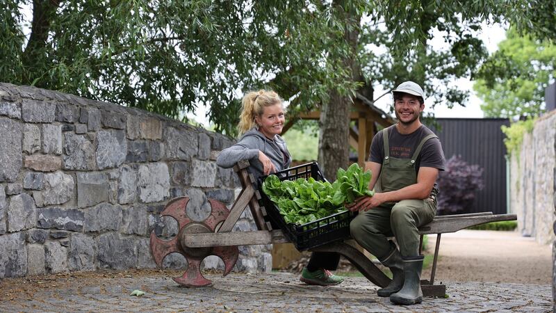 Both Downes and Hjalmarsson, who is from Gothenberg in Sweden, are relative newcomers to horticulture. Photograph: Nick Bradshaw/The Irish Times