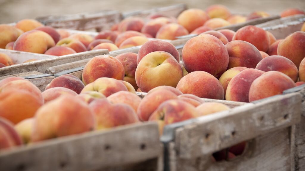 Peachy. Photograph: iStock