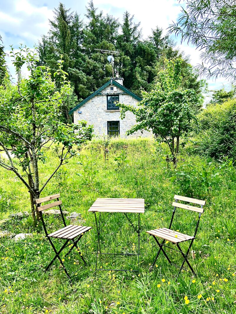 The current owner planted a small orchard on the lands where visiting fawns come to eat the windfall
