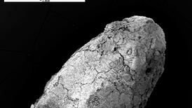 Ancient food wisdom for modern food security