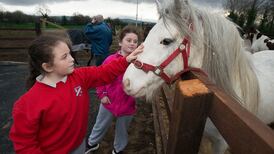 Dublin council seeks to mend fences with opening of equine centre