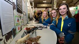 Young Scientist: Students tackle flooding and migrant crisis