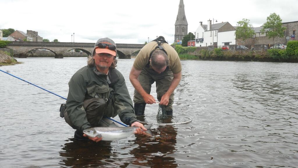 Moy fishery, which covers just over 2.5 kilometres of the Moy within the town boundaries of Ballina, has in the past recorded catches of over 5,000 salmon in a single season.