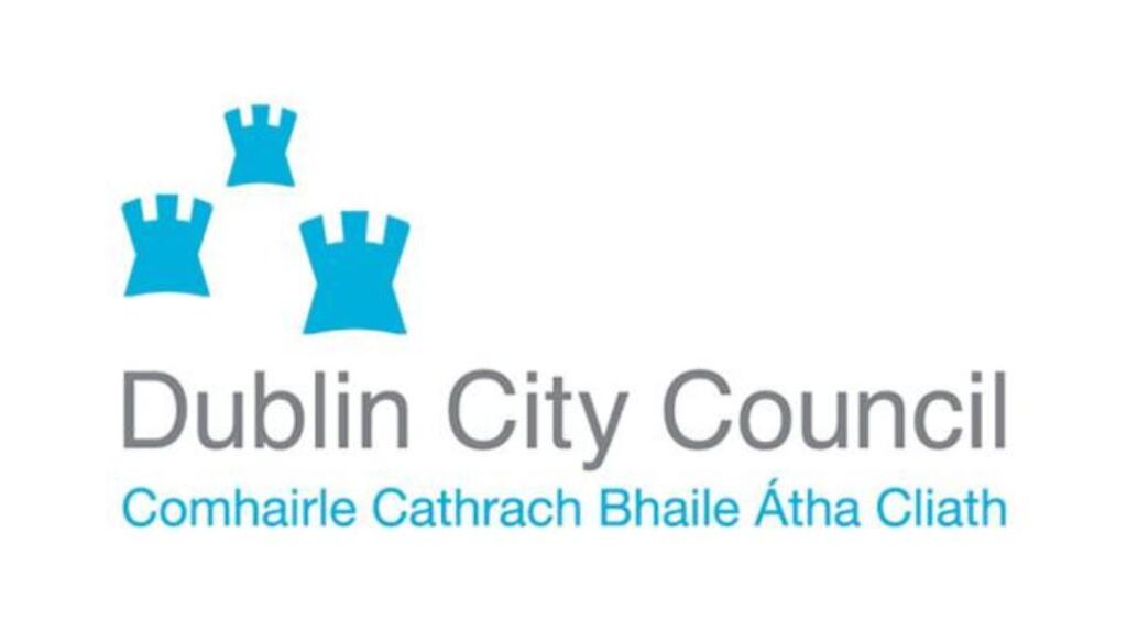 Through her mother Anne Dillon sued Dublin City Council, owner of the Raheny football pitch, for negligence.