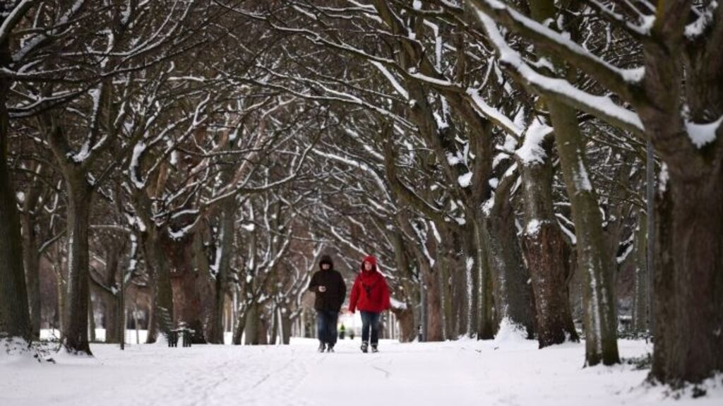 A snow scene in Fairview Park, Dublin during the 2018 ‘Beast from the East’. Photograph: Dara Mac Donaill/The Irish Times