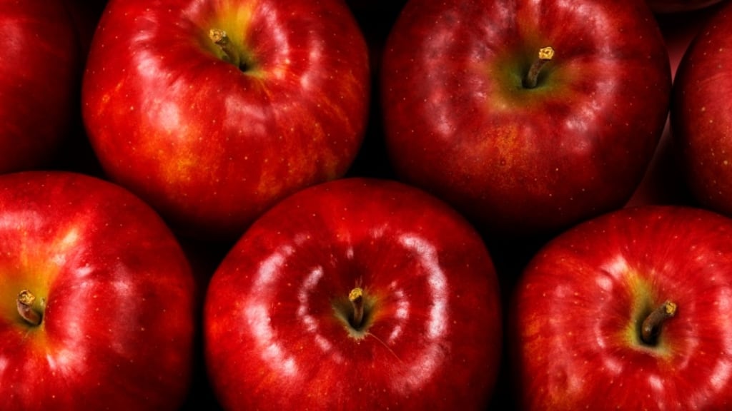 A nice Irish variety is the Irish Peach, which originated in Sligo or Kilkenny in the 19th century. It was widely exported to England in the 1800s. It is great for baking