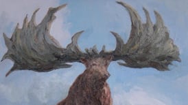 Another Life:  The lost treasures  of the dead zoo