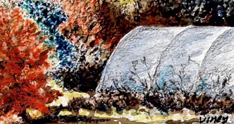 A polytunnel: "Darwin would have loved a tunnel." Illustration: Michael Viney