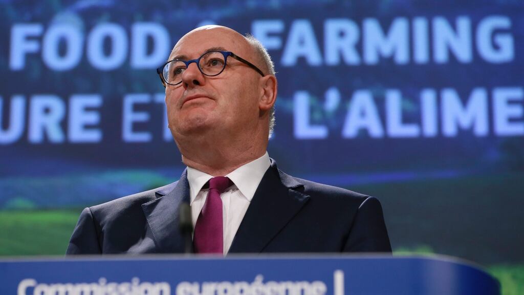 European Commissioner for agriculture and rural development Phil Hogan said the document marked “a significant step change in the implementation of the CAP”. Photograph: Olivier Hoslet/EPA