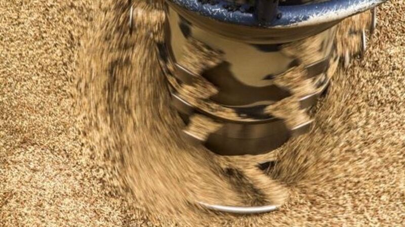 Wood pellets: The RHI was supposed to offer a proportion of the cost businesses had to pay to run eco-friendly boilers, but the subsidy tariffs were set too high, and without a cap, so the state ended up paying out significantly more than the price of fuel. File photograph: Getty Images