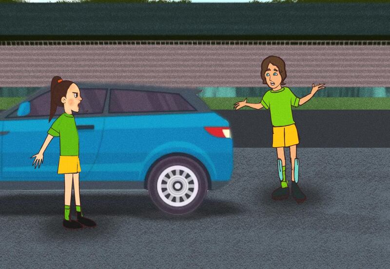 The Captain. Illustration: Shauna Callanan