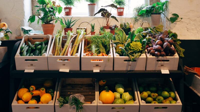The kitchen garden’s bounty. Photograph: Taryn Elledge-Penner of Quartier Collective