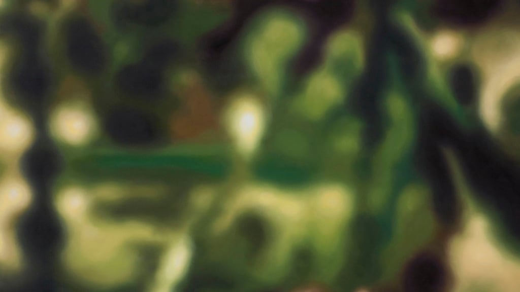 “There are flowers, bright sunlight. It’s a summer’s day”... Detail from itor by Eoin Mc Hugh, 2019, oil on canvas. Photograph: courtesy Kerlin Gallery