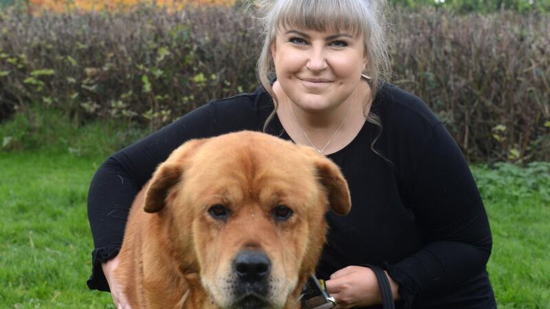 Corina Fitzsimons, communications manager of Dogs Trust in Finglas with Buster: “We are worried there will be a second spike in surrender requests as people go back to the office.” Photograph: Dara Mac Donaill