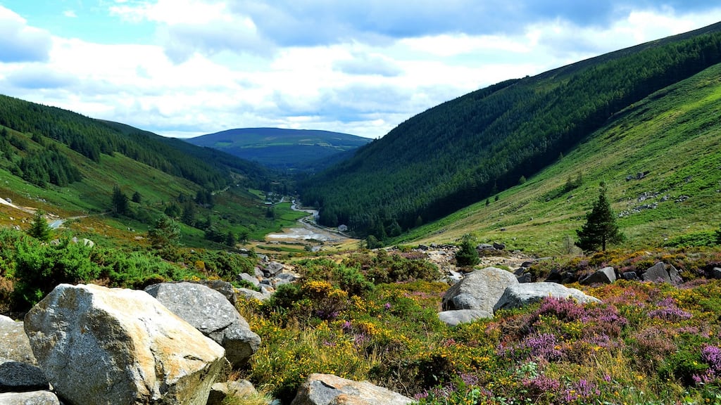 The court also ordered the defendants or its licensees not to use waste disposal bins or any other equipment belonging to the Stakems at the Upper Car Park site in Glendalough, Co Wicklow. Photograph: Thinkstock