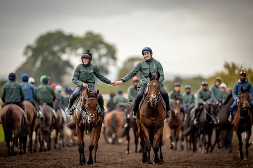 All-conquering Willie Mullins readies team for winter campaign