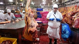 Cantillon: Uncertain outlook for Ireland’s beef industry