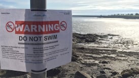 Ban on bathing at south Dublin beaches extended to Monday