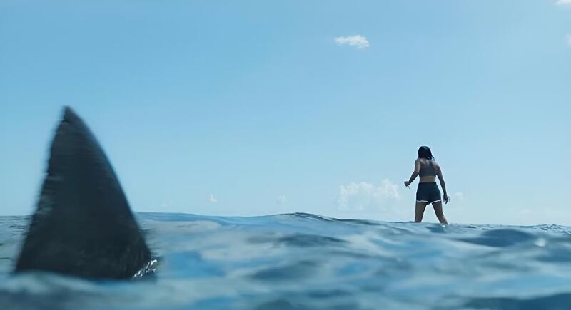 Something in the Water. Photograph: StudioCanal/Carlos Rodriguez