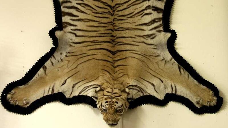 Tiger-skin rug with head mount (€750-€1,250)