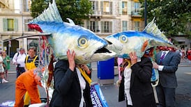Ireland to ratify high seas treaty and scale-up marine-protected areas, Taoiseach tells UN summit