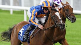 Actress blitzes Ballyogan rivals at the Curragh