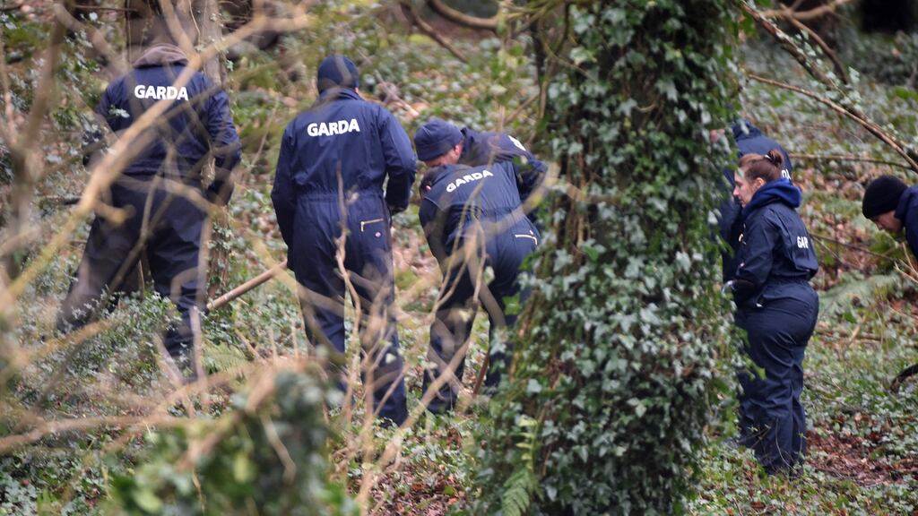 Gardaí Gardai have wound up a search at Mitchel’s Wood, Castlemartyr, Co Cork for evidence relating to the disappearance of Tina Satchwell. Photograph: Michael Mac Sweeney/Provision