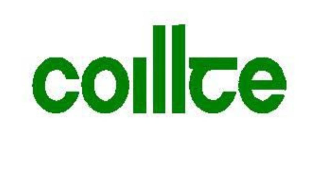 Worker in his 20s died at Coillte subsidiary Smartyply