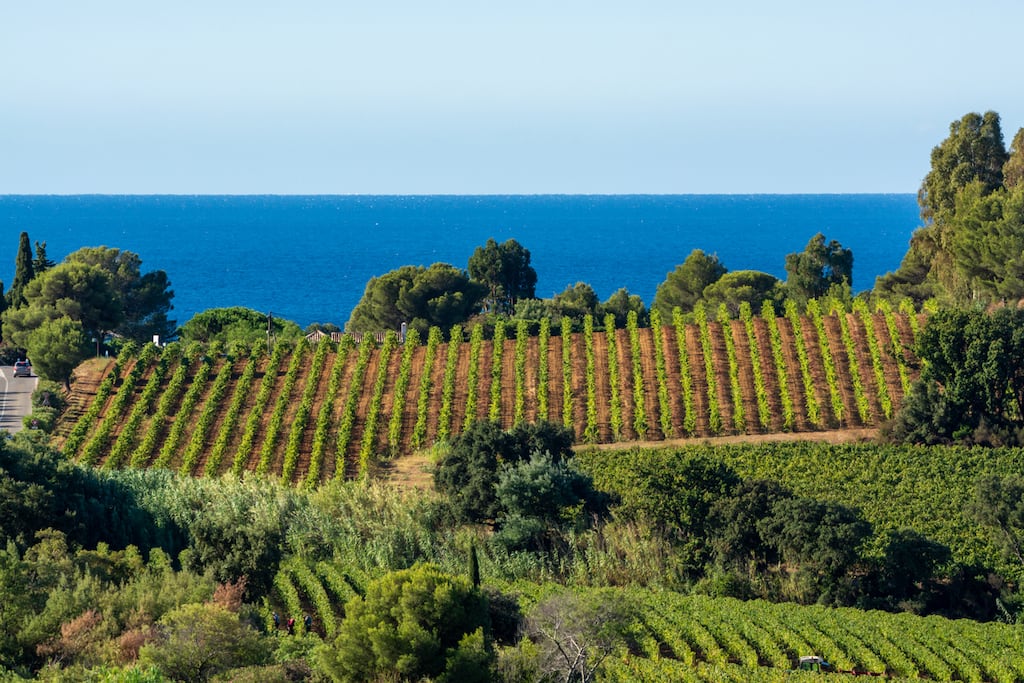 If you are a rosé drinker, you will be familiar with the Côtes de Provence. Photograph: iStock