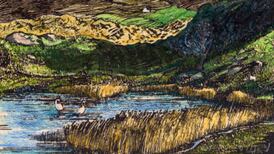 Another Life: Small is beautiful – Ireland’s lakes, ponds and pools