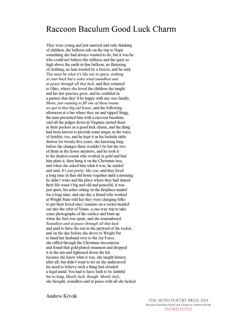 Raccoon Baculum Good Luck Charm