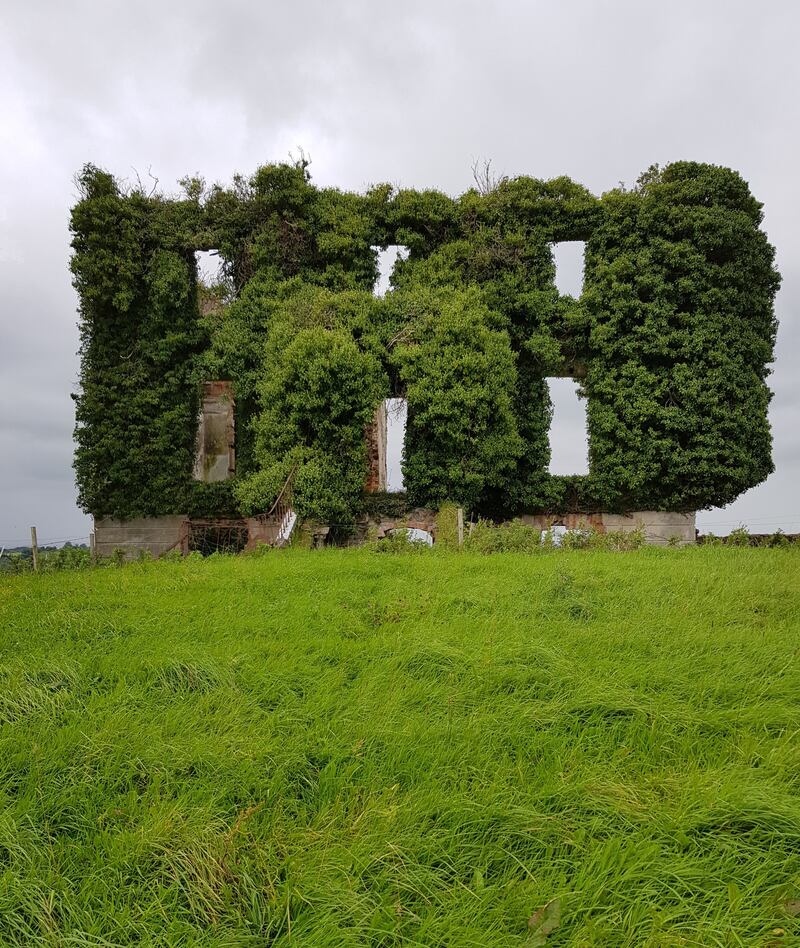 Ballyturin in Co Galway, September 2019