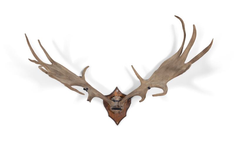 Great Irish deer antlers and skull mounted on a timber shield. €25,000-€35,000