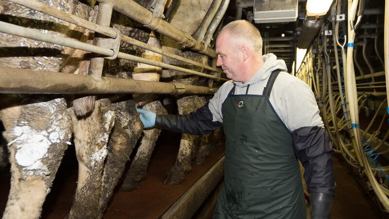 Farmer PJ McMonagle milking cows