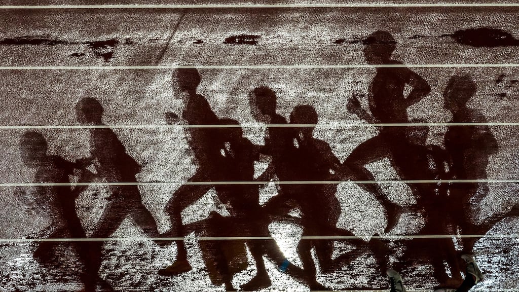 Photograph: Morgan Treacy/Inpho