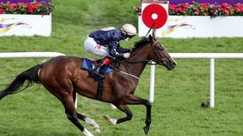 Johnny Murtagh eyes Sun Chariot Stakes glory with Champers Elysees