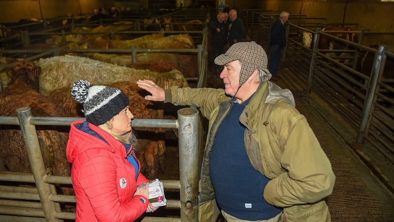Cllr Sarah O’Reilly of Aontú canvassing at Clones mart, Co Monaghan, with Donal Keappock from Cootehill, Co Cavan. Photograph: Philip Fitzpatrick