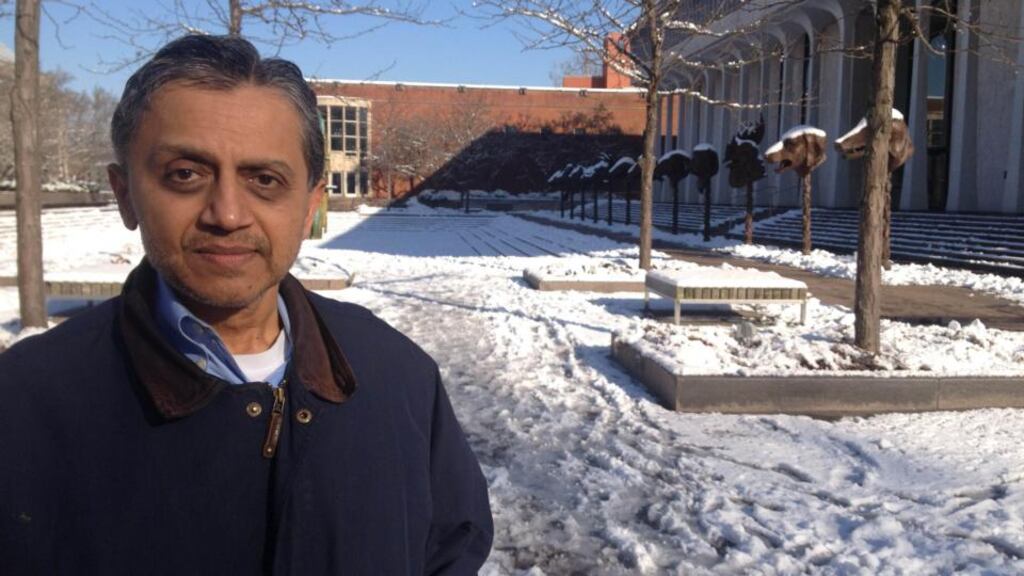 Former IMF head of mission to Ireland Ashoka Mody: believes Ireland could have pressed harder