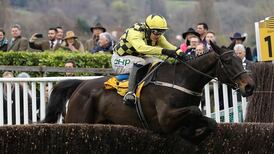 Al Boum Photo to start the new year with a bang at Tramore