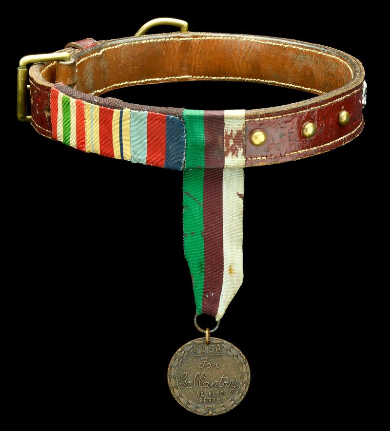 The Dickin Medal - the Victoria Cross for animals