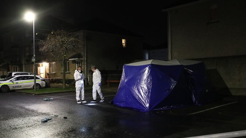 Gardaí at the Mount Andrew Rise area in Lucan on Monday night after the body of a man was discovered in a burning car. Photograph: Niall Carson/PA Wire