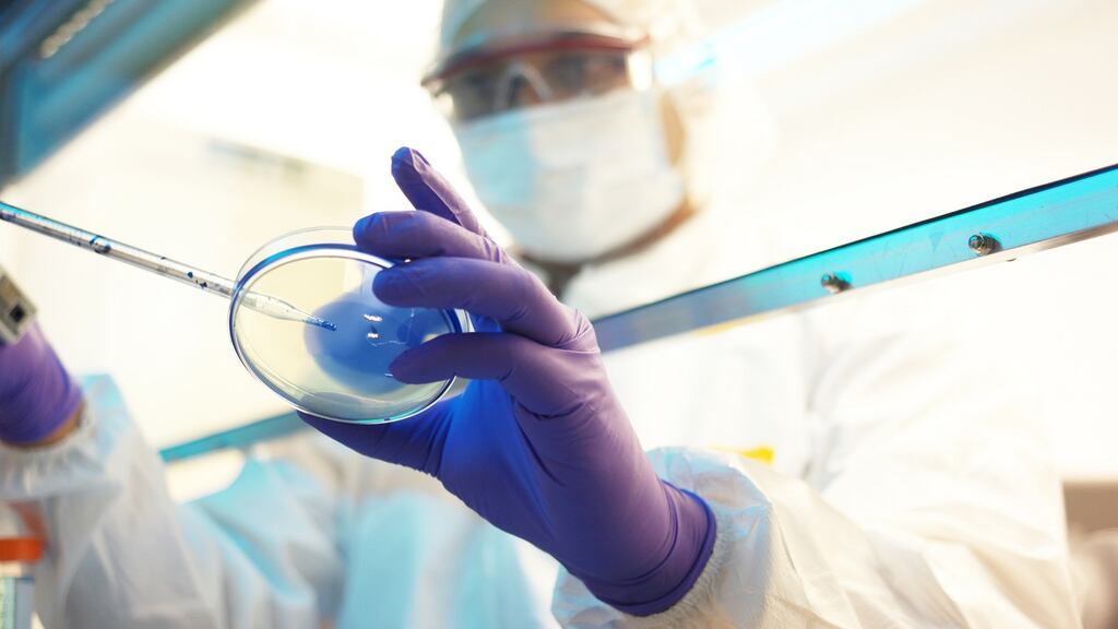 Eight out of the 10 largest medical device companies in the world – including Pfizer, Boston Scientific, Bayer and Medtronic – have substantial Irish operations