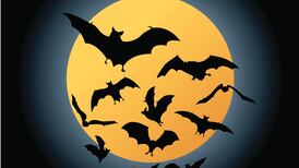 The Irish Times view on Halloween: something spooky this way comes