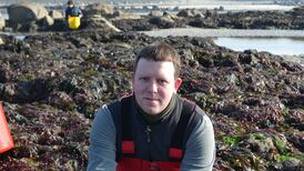 Arsenic levels in seaweed have ‘negligible’ impact on human health, study finds