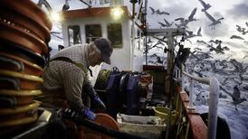 Minister welcomes 8% rise in value of whitefish quotas for Irish fleet