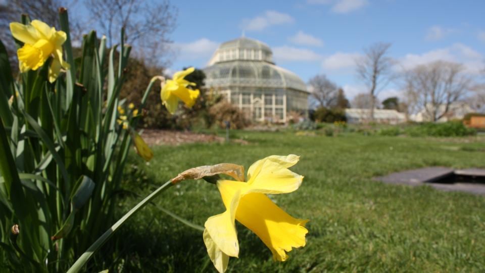 7. The National Botanic Gardens	attracted 544,685 visitors.