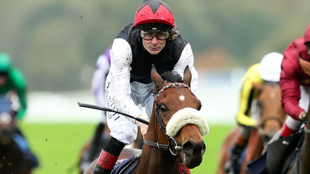 Forgotten Rules, ridden by Pat Smullen, won the Coolmore Vintage Crop Stakes at Navan to keep up his 100 per cent record. Photo: Ben Hoskins/Getty Images